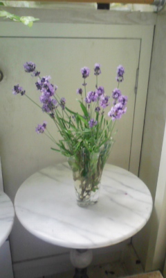 080616_labenda.jpg