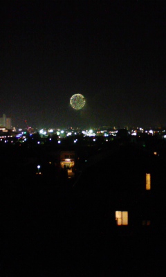 080802_201555.jpg