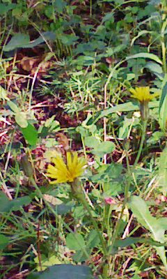 1002_5.jpg